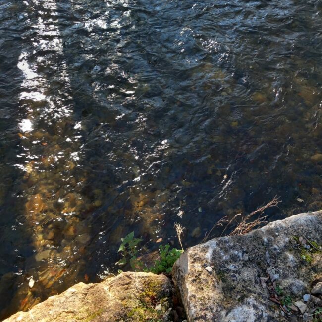 Maison avec jardin, piscine et jacuzzi, vue sur le ruisseau